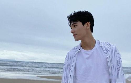 龚俊爆料视频最新消息是真的吗,揭秘真相!