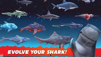 饥饿鲨进化最新鲨鱼爆料,全新鲨鱼物种震撼登场!