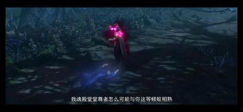 魂殿最新爆料,最新爆料揭示神秘组织内幕